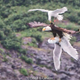 Image for article titled Dinosaurs Are Alive and Battling in Valdez, Alaska
